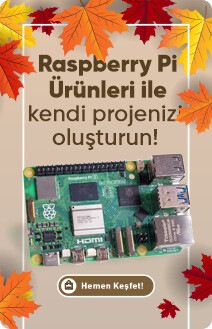 Raspberry Pi - 